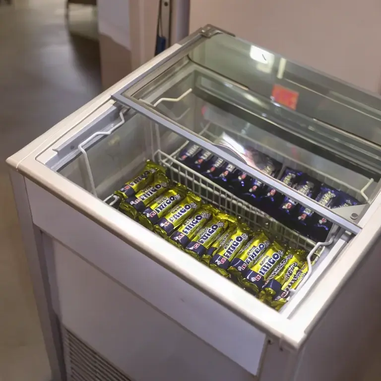 Alaska Frigo Dondurmacı Kiralama